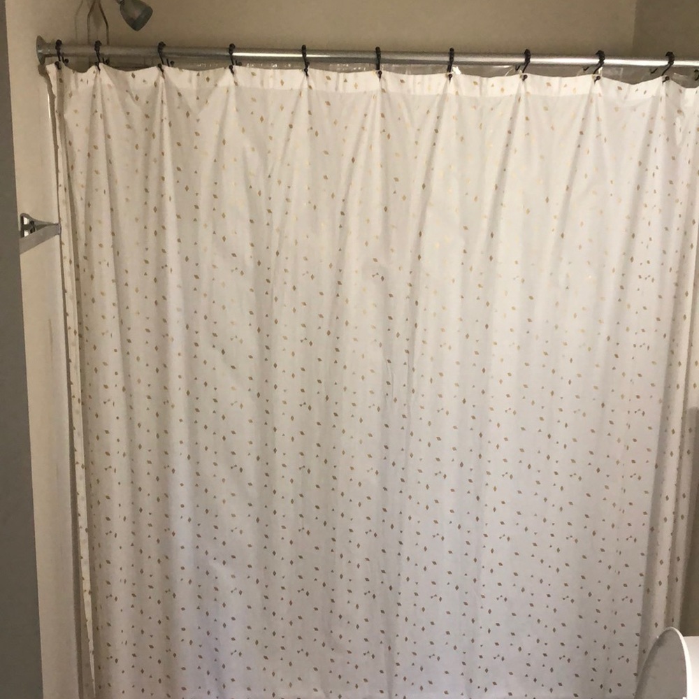 Shower curtain + rings